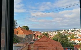 Vila Relax Vacation Rental, Funchal